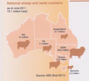 sheep-population-001